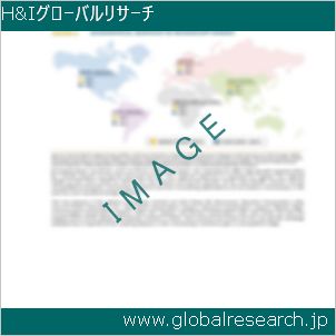 グローバルリサーチ調査レポートのイメージ